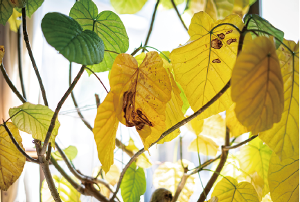 画像に alt 属性が指定されていません。ファイル名: %E3%82%B9%E3%82%AF%E3%83%AA%E3%83%BC%E3%83%B3%E3%82%B7%E3%83%A7%E3%83%83%E3%83%88-2025-02-14-123531.png